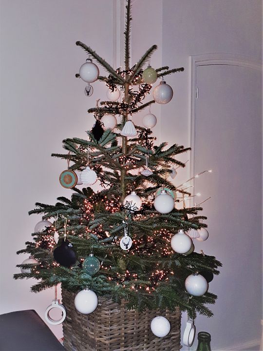 Kerstboom-in-mand-2-1575644397.jpg
