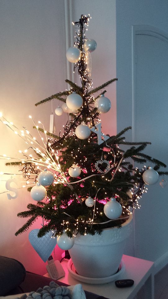 Kerstboom-witte-pot-2-1575644491.jpg